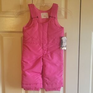 The Children's Place Bright Pink Snow Pants